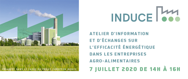 Image of Induce Flyer French